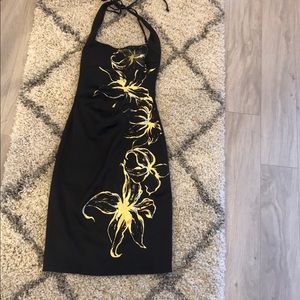 Gorgeous Women’s Cache Dress